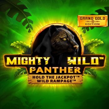 Mighty Wild™ Panther Grand Gold Edition game screenshot